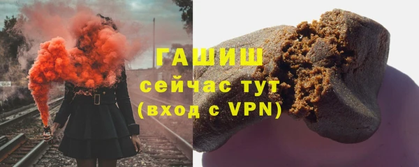 стаф Корсаков