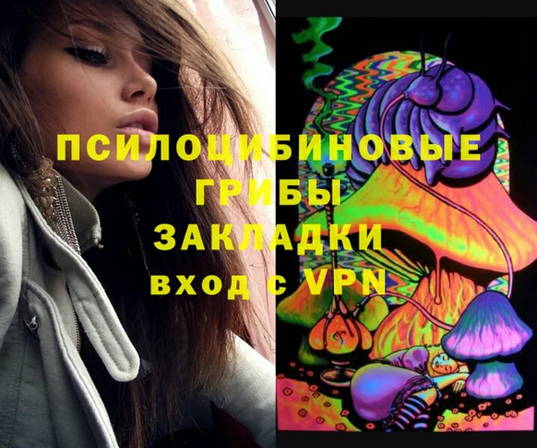соль ск Кодинск