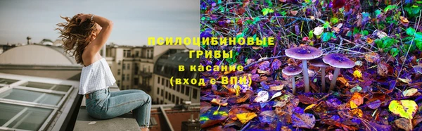 марки lsd Козловка