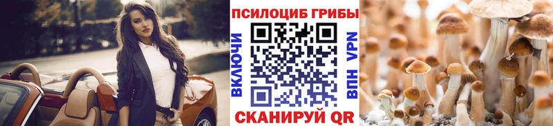 Псилоцибиновые грибы Cubensis  гидра ТОР  Конаково 
