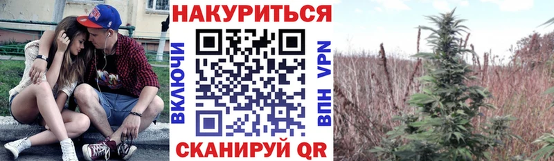 как найти наркотики  сайты даркнета какой сайт  Шишки марихуана OG Kush  Конаково 